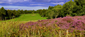 15th-fairway-and-green0014