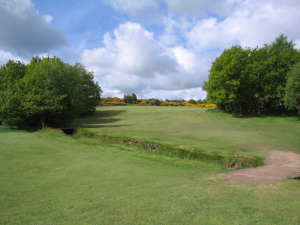 16th-Fairway-dogleg